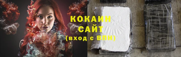 мяу мяу мука Новозыбков