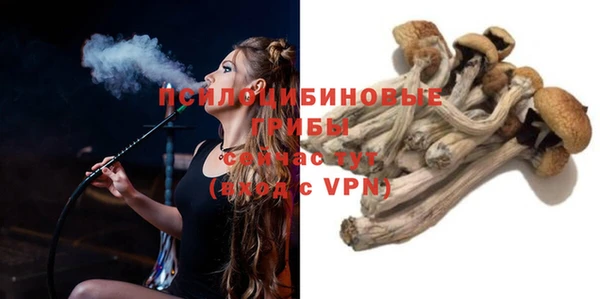 мяу мяу мука Новозыбков