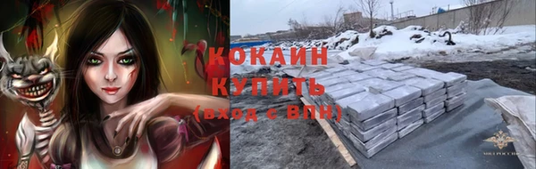 мяу мяу мука Новозыбков