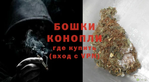 ГАЛЛЮЦИНОГЕННЫЕ ГРИБЫ Нязепетровск