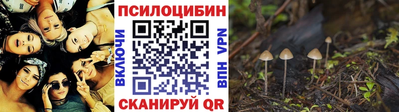 Псилоцибиновые грибы мухоморы  купить   Иноземцево 